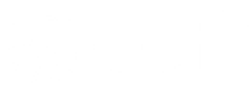 Esri ArcGIS Enterprise logo